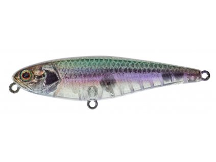 Ghost Minnow