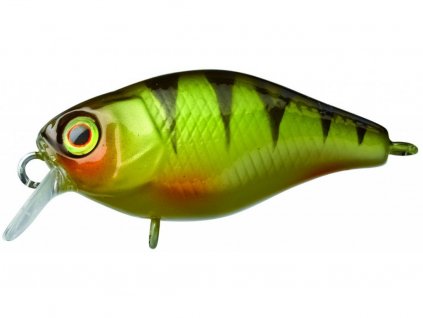 Perch