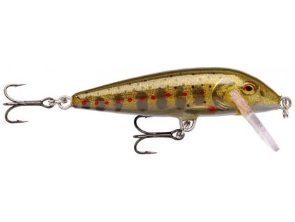 Wobler Rapala CountDown 05 GJTR 5cm