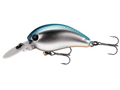 blue smelt