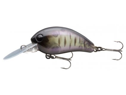 darknight trout