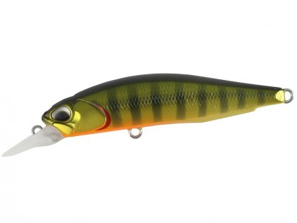 DUO Realis Rozante 63SP ASA3146 Gold Perch 4525918078539