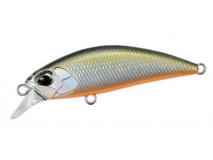 tenesse shad