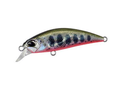 yamane red belly