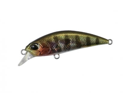 prism gill