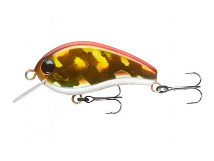lazer gold red