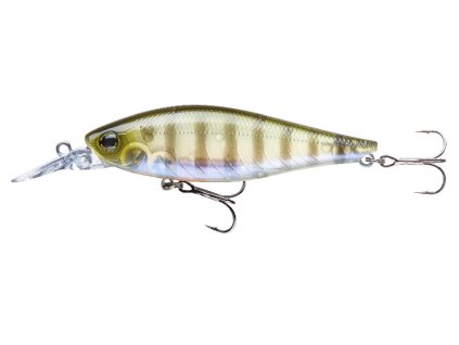ghost perch