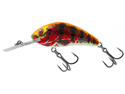 Wobler Salmo Rattlin Hornet 3,5cm Floating Holo Red Perch