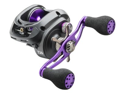 prorex XR