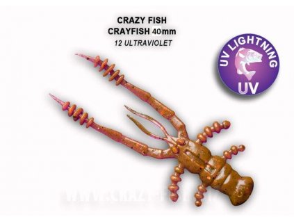 2695 crayfish 45cm 12 ultraviolet baleni 8 kusu