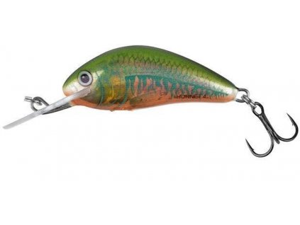 Wobler Salmo Hornet 3,5cm Sinking Holo Oikawa