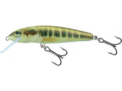 Wobler Salmo Minnow 6cm Floating Minnow