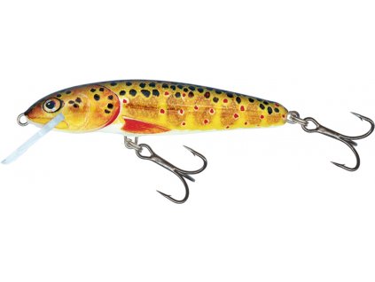 Wobler Salmo Minnow 6cm Floating Trout