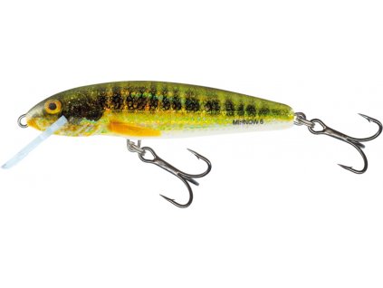 Wobler Salmo Minnow 6cm Floating Holo Real Minnow