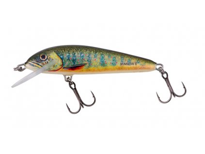 Wobler Salmo Minnow 6cm Sinking Lake Charr