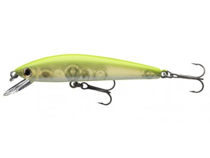 tournament baby minnow 60sp chart back pearl