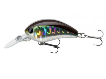 tournament baby crank 35f kibinago