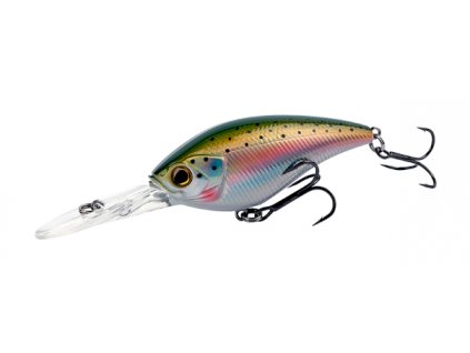 raibow trout