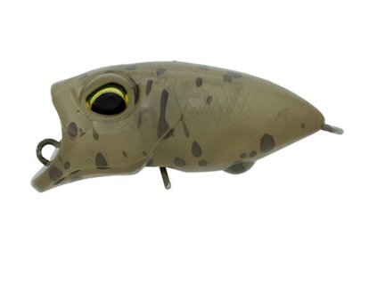 Valkein Riola C223 Superb bean