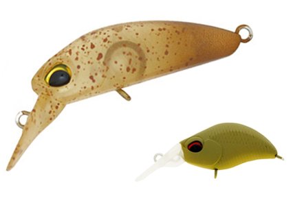 ValkeIN Kuga FFS M193 Caramel Rush Glow