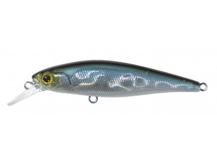 SQUAD MINNOW 65 SP NF ABLETTE P P 1