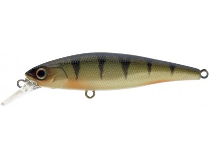 SQUAD MINNOW 65 SP PERCH P P 1