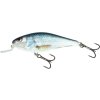 Wobler Salmo Executor Shallow Runner 12cm Floating Real Dace