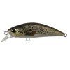 Spearhead Ryuki 50S CCC3815 Brown Trout ND
