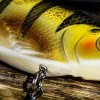 Wobler SPRO KGB Chad Shad 180