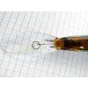 Jerkbait lip 100dr