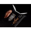 DUO Realis Shinmushi part 2