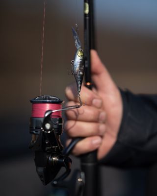 ✅Inspirujte se přírodou a využijte sílu světla v nástrahách Shimano s technologií FlashBoost - která generuje intenzivní,...