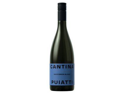 sauvignon
