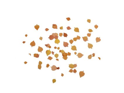 1 16 zubehoer laub birke