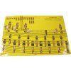 Mantua Model Vasa 1:60 kit