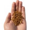 Wormici - sušení červíci - Sůl 20 g