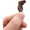 MO jerky - biltong sušené maso honey and scorpion moruga přírodní protein