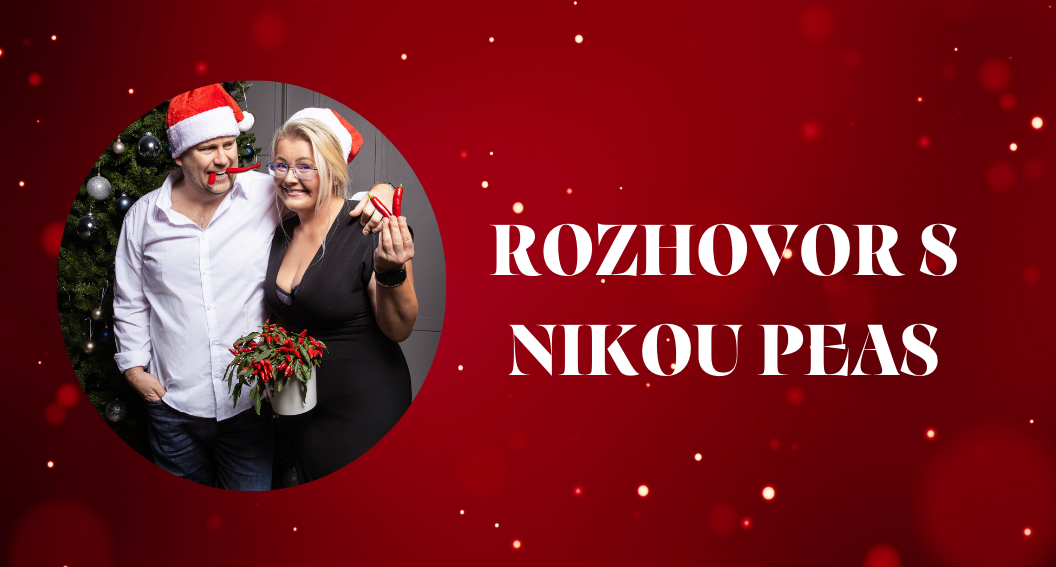 Vánoční chvíle s naší autorkou
