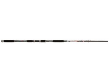 Carbon Catfish