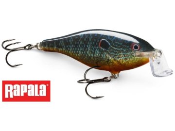 Shallow Shad Rap 09