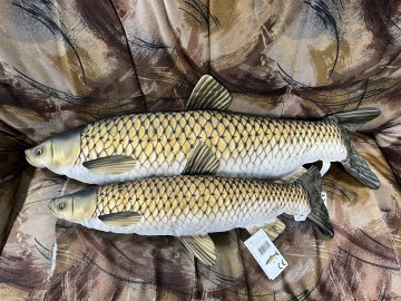 462D7679 0A16 49A6 B74F D9286D83E963