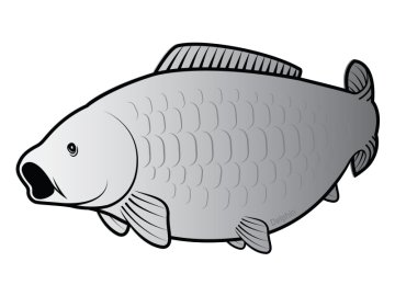 69e61dca29f1aed0e911e1330bc562ca