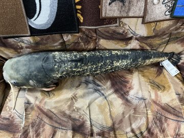 06F43820 DB2E 4F60 A4A0 DF00F25490DB