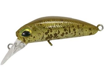 Kuga (Varianta Kuga C197 Caffeine Flash)