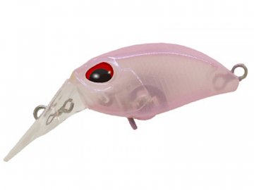 Kuga FMR SS (Varianta Kuga FMR SS C223 Superb Bean)