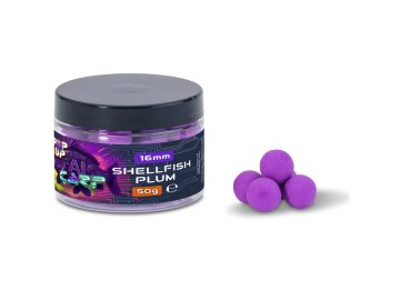 e4035eb0c88edd2ed87bdf24877808a0