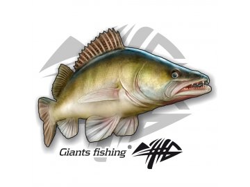 Nálepka malá - Giants Fishing Candát