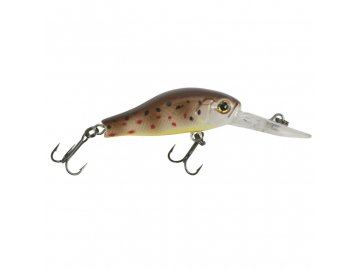 d12dbd91a1d00a06f5d1b30b6498760a