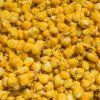 LK Baits IQ Method Feeder Corn 1kg Corn Honey