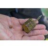 ICS In-Line Cage Feeder - Small (Gramáž 20 g)